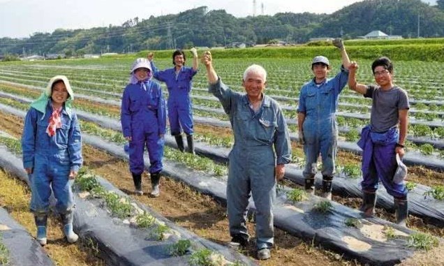 日本勞務派遣農(nóng)業(yè)類、食品加工、建筑業(yè)、電子業(yè)招聘